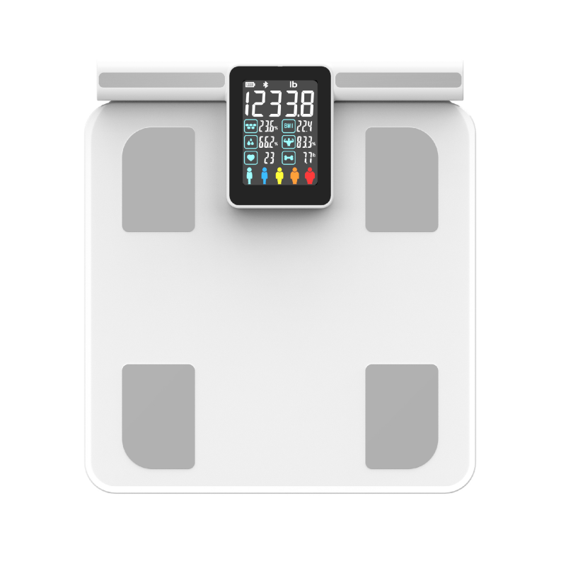 KS-FL562 gran pantalla de alta precisión de baño digital de aptitud escalas escala de grasa corporal inteligente