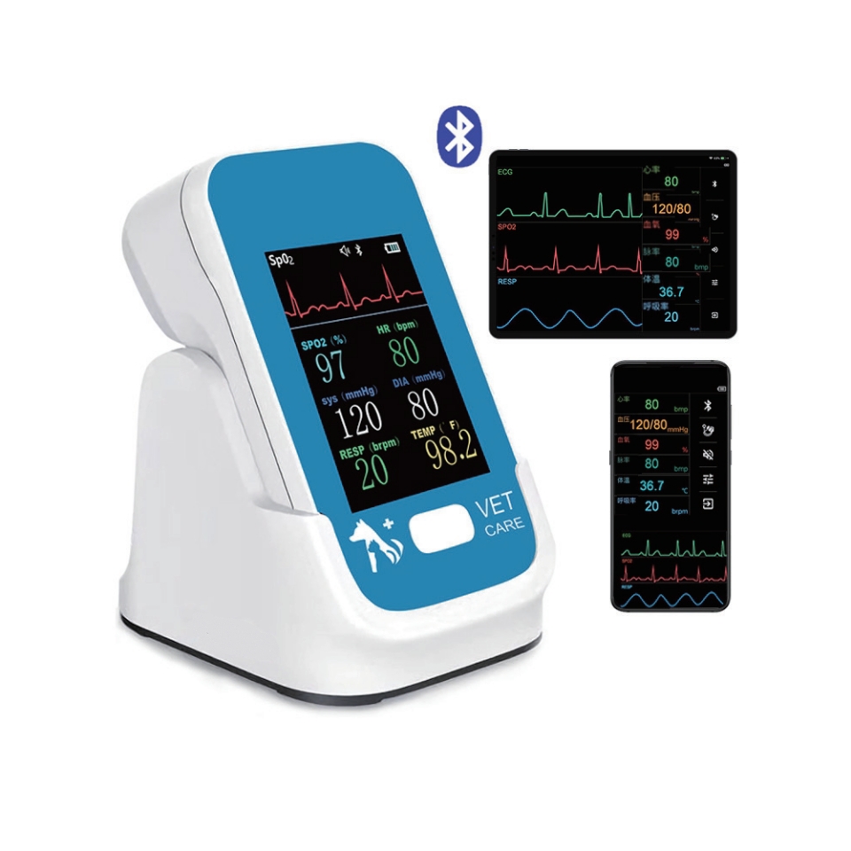 KV-BR6200 China (en inglés) Monitor veterinario