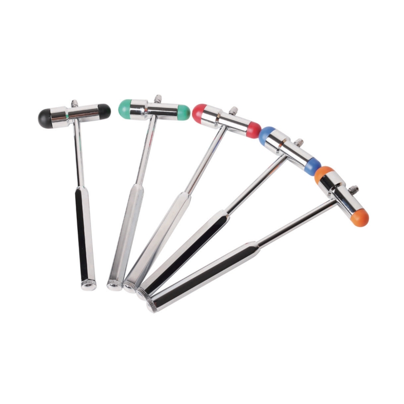 Buck Hammer: The Essential Diagnostic Tool for Modern Healthcare Professionals (en inglés)