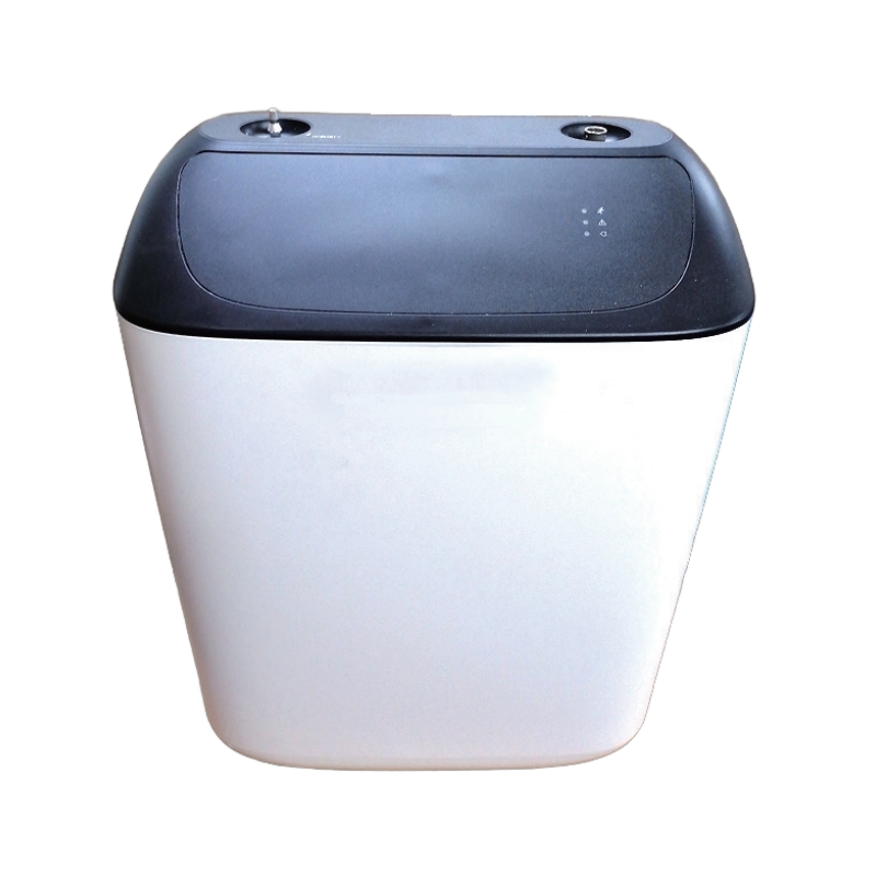 ZYBY5-M04 5L Oxygen Concentrator (en inglés)